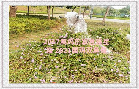 2017属鸡的双鱼座星座 2021属鸡双鱼座